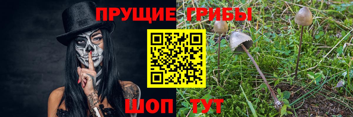 Псилоцибиновые грибы MAGIC MUSHROOMS  Вход с VPN  Усть-Лабинск 